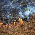 A Xunta lembra que a realización de queimas nos terreos rústicos está suspendida ata novo aviso