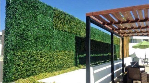 Los muros verdes: tendencia decorativa en auge