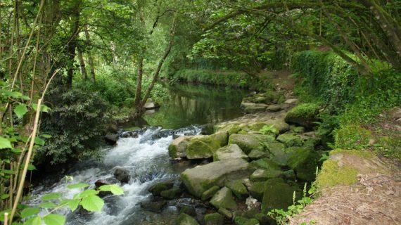 A Xunta recibe 14 ofertas para o mantemento e conservación dos treitos interurbanos dos ríos de Galicia-Costa nos vindeiros 2 anos cun investimento de 5,6 M€, un 70% máis