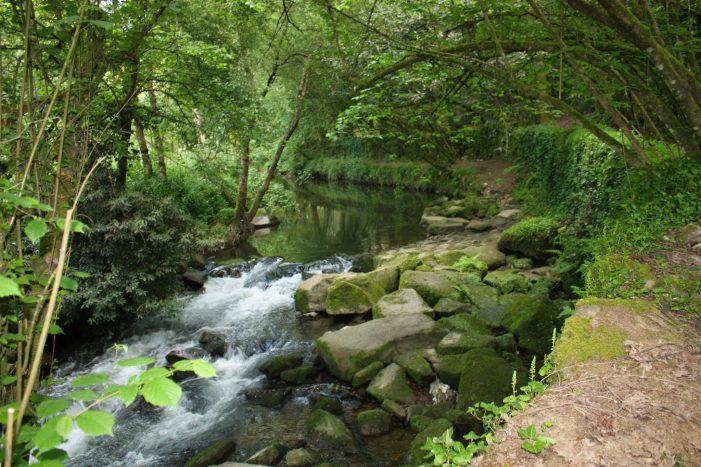 A Xunta recibe 14 ofertas para o mantemento e conservación dos treitos interurbanos dos ríos de Galicia-Costa nos vindeiros 2 anos cun investimento de 5,6 M€, un 70% máis