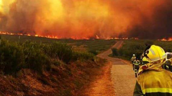 O Diario Oficial de Galicia publica onte a orde de Medio Rural que determina a época de alto risco de incendios forestais