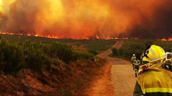 O Diario Oficial de Galicia publica onte a orde de Medio Rural que determina a época de alto risco de incendios forestais