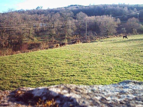 Os tres tipicos rumores falsos que circula no rural