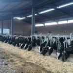A Xunta rematará de aboar nos vindeiros días as axudas da PAC de 2019 a máis de 20.000 gandeiros e agricultores galegos