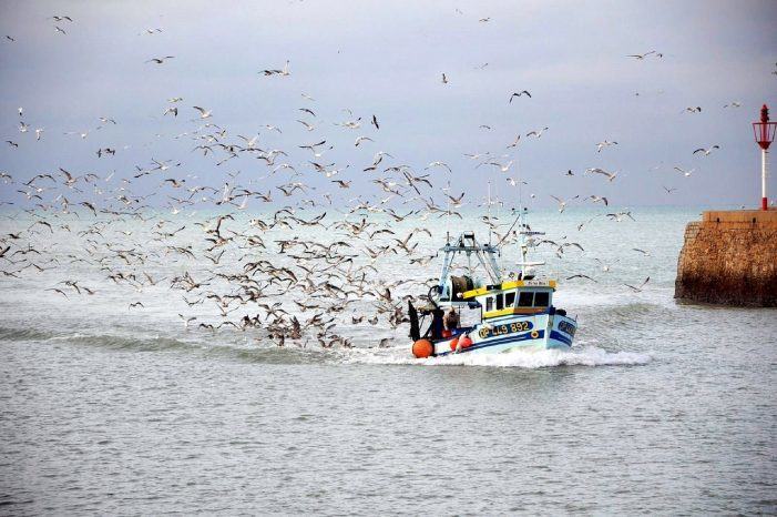 Denuncian o incremento de multas a pequenas embarcacións nas augas da Galiza