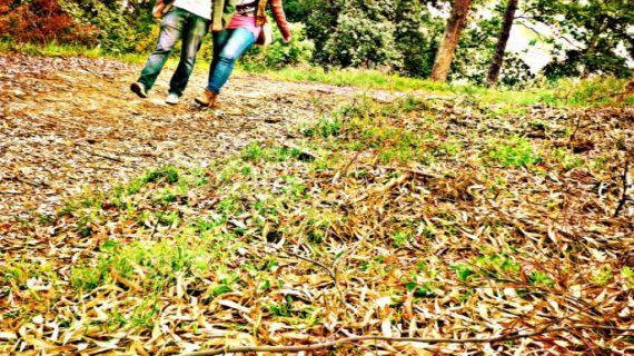 nAmorAndo detecta que moitos adolescentes identifican o maltrato só coa violencia física