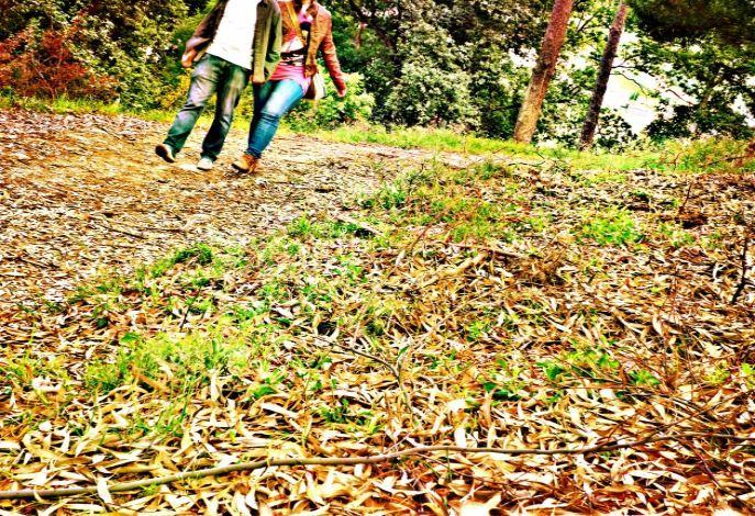 nAmorAndo detecta que moitos adolescentes identifican o maltrato só coa violencia física