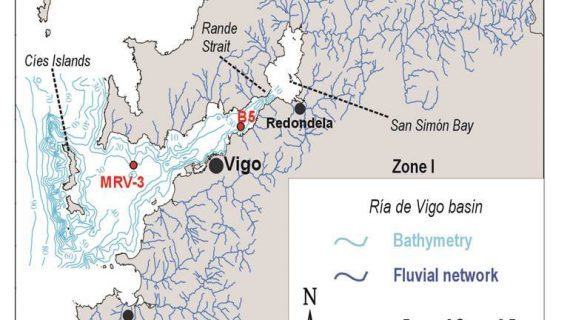 Un estudo analiza os bosques primixenios da ría de Vigo e explica a desaparición do carpe