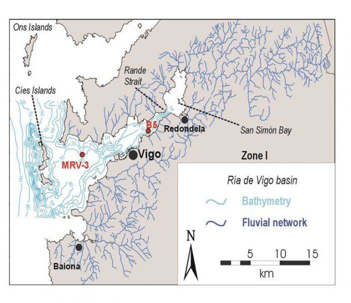 Un estudo analiza os bosques primixenios da ría de Vigo e explica a desaparición do carpe
