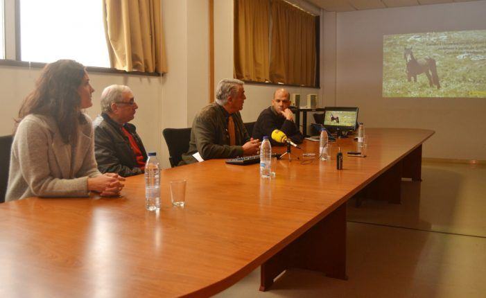 Un novo proxecto da EE Forestal incorpora drones aos traballos para o estudo e conservación do cabalo galego do monte