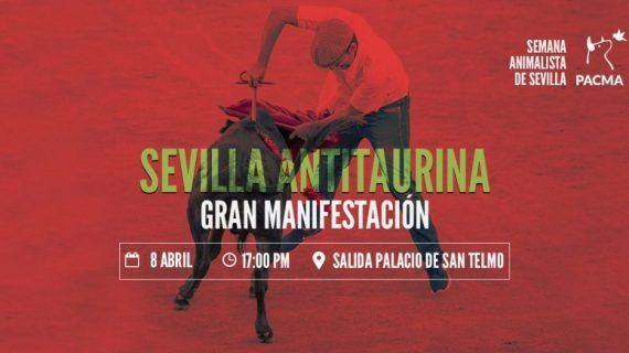 Sevilla se vuelve antitaurina