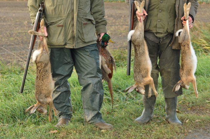 Ecoloxistas esixen a suspensión inmediata da caza en Galicia