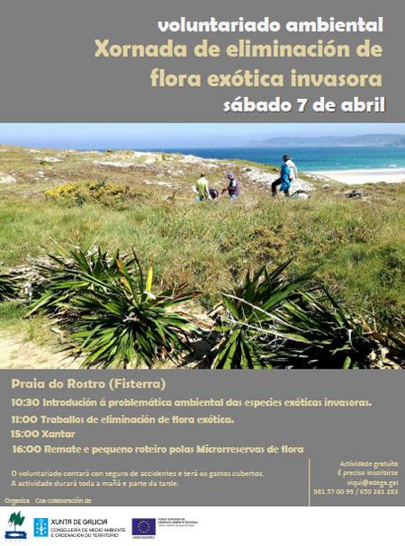Voluntariado de ADEGA participará na eliminación de invasoras na Praia do Rostro (Fisterra)