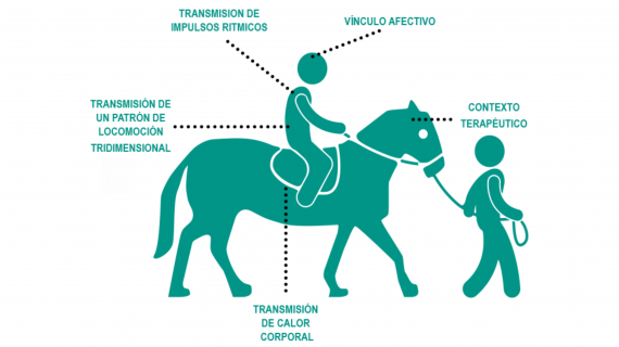 Los beneficios de la terapia con caballos, a estudio en el Aula UNED de Tui