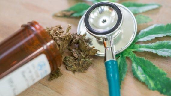 Las semillas medicinales de marihuana: aplicaciones que quizás no conocías