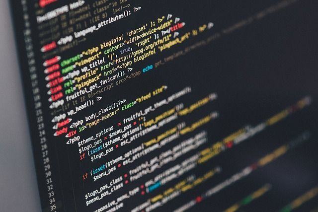 ¿Por qué contratar los servicios de un programador web?