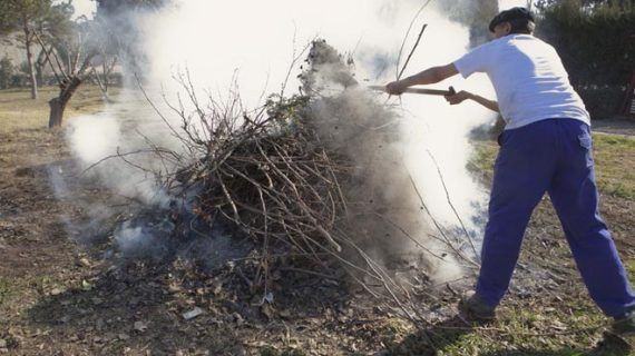 A Xunta permite solicitar queimas por razóns fitosanitarias en explotacións agrícolas profesionais e reactiva a obriga de xestionar a biomasa nas faixas próximas ás vivendas