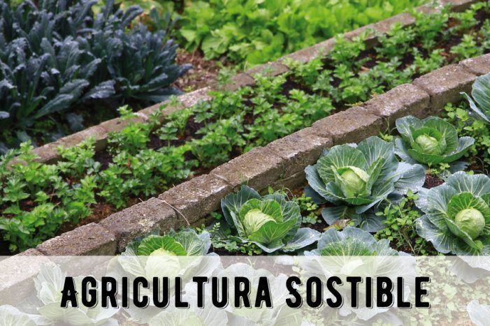 Comeza un curso de hortofruticultura sustentable no concello do Rosal e outro de apicultura sustentable no concello de Forcarei