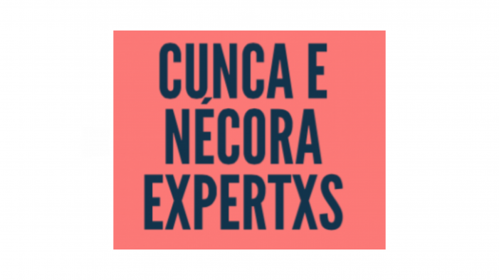 Cunca e nécora Expertxs, outro xeito de coñecer a cidade