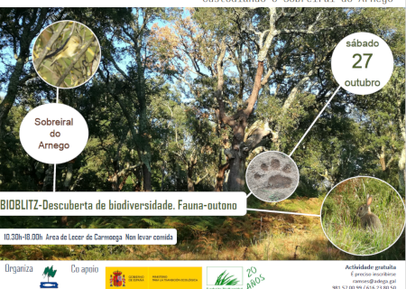 Descuberta de Biodiversidade polo Sobreiral do Arnego