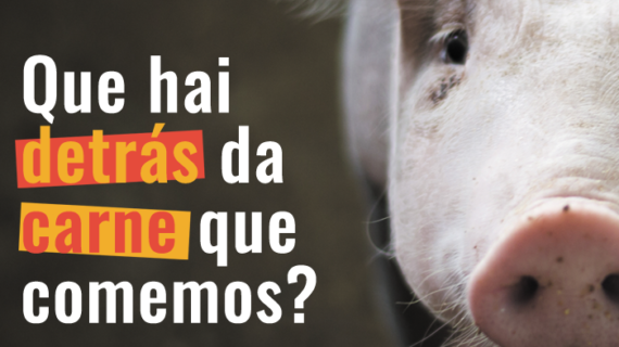Que hai detrás da carne que comemos?