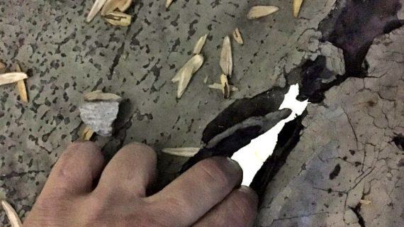 Imaxes do estado alarmante da estructura da grada de marcador do estadio de Balaidos