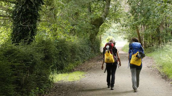 Grazas ao compromiso dos peregrinos este verán reciclouse un 28% máis no Camiño de Santiago