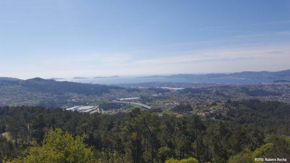 A Xunta publica o Anuario de Estatística Forestal do ano 2019