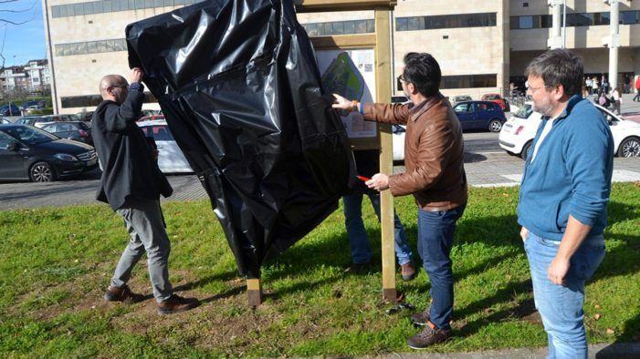 O campus impulsa unha ruta para pór en valor a súa riqueza arbórea