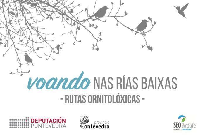 Esgotadas en tres horas as prazas para a primeira ruta ornitolóxica de “Voando nas Rías Baixas” 2019