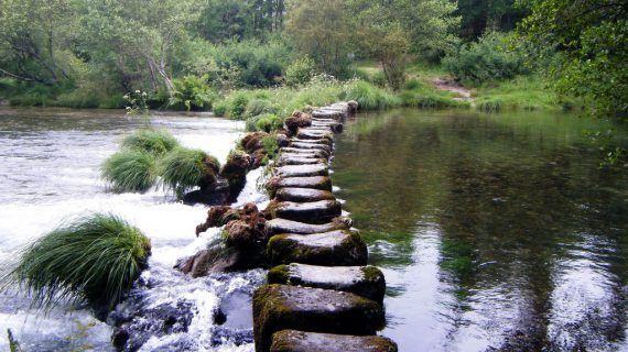 Campo de Voluntariado Ambiental no río Tea