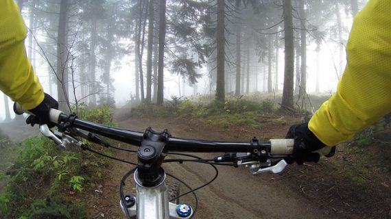 Buscas una bicicleta de segunda mano en oferta