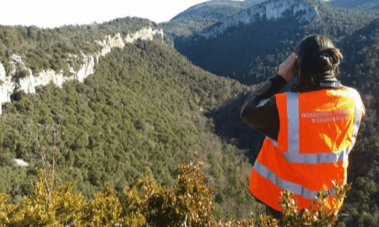 Agente forestal, mucho más que prevenir y combatir incendios