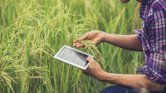 Beneficios de las nuevas tecnologías para emprender en el rural