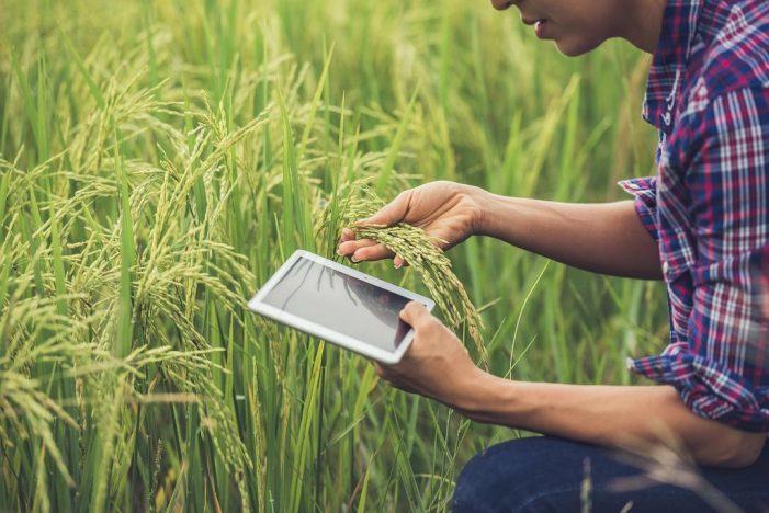Beneficios de las nuevas tecnologías para emprender en el rural