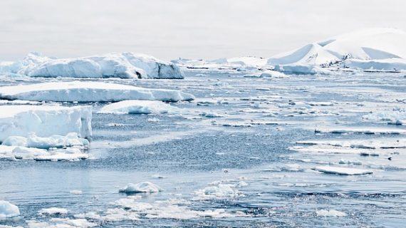 ¿Puede el calentamiento global dejarnos sin peces?