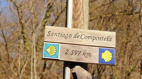 En busca de la “Compostolena”