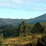 A Asociación pola defensa da ría advirte dos graves prexuízos que implicaría a execución do novo plan forestal galego que pretende aprobar a Xunta de Galicia