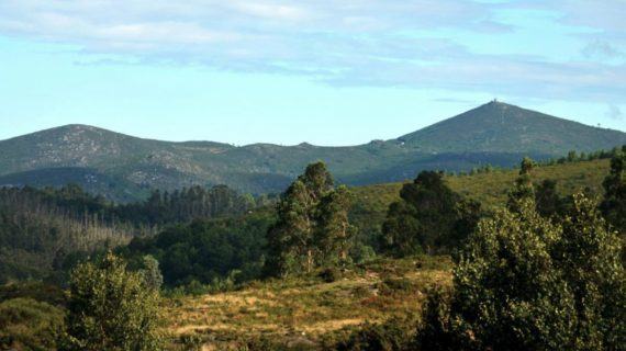 A Asociación pola defensa da ría advirte dos graves prexuízos que implicaría a execución do novo plan forestal galego que pretende aprobar a Xunta de Galicia