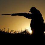 Medio Ambiente convoca a orde de axudas para o fomento da caza menor en Galicia