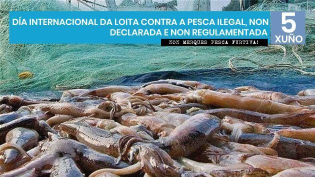 Día Internacional da loita contra a pesca ilegal, non declarada e non regulamentada