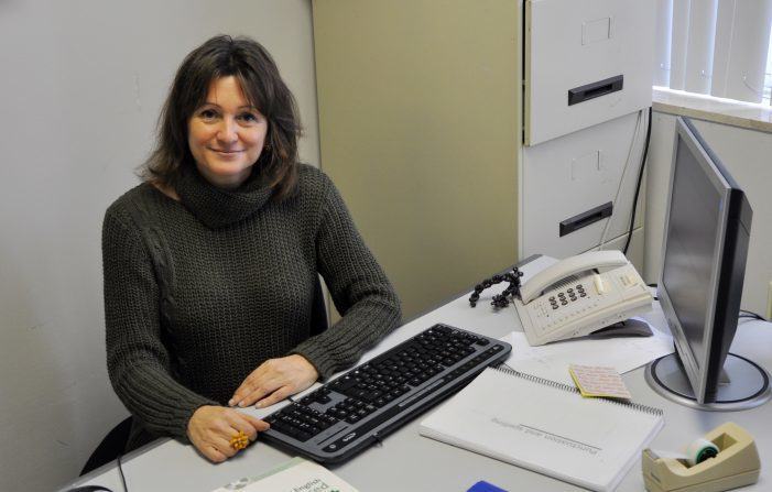 Publícase en liña o ‘Dicionario de ensinanza e aprendizaxe de linguas’