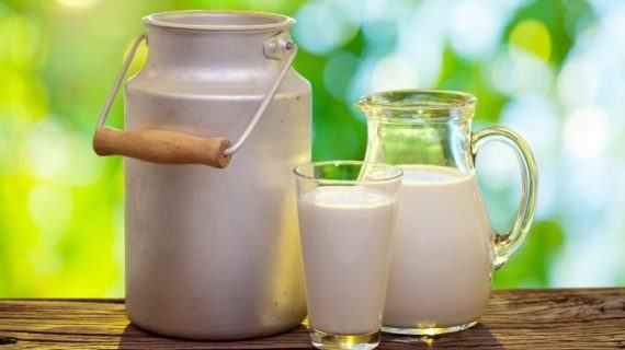 O Sindicato Labrego denuncia impagos de leite por parte de Logística Alimentaria a través da empresa TeGestacín SL