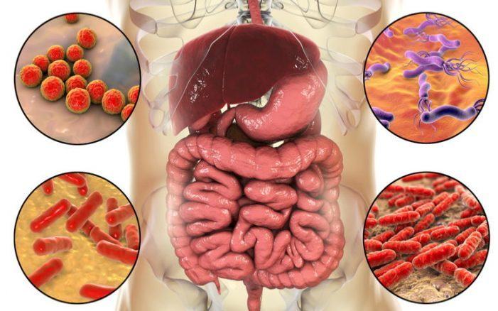 Consejos para evitar una infección por la bacteria E.coli