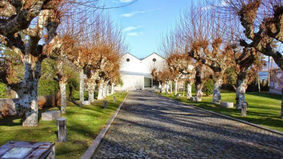 O Sinsal SON Estrella Galicia Museo do Mar de Galicia celebra a súa segunda edición