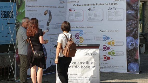 As campañas da Deputación para o control da acacia e o impulso ao cultivo dos froitos do bosque pasaron polo Concello das Neves