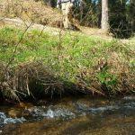A Xunta publica no DOG o decreto que facilita a execución de obras menores de conservación e mantemento nas proximidades dos ríos sen autorización previa de augas de Galicia