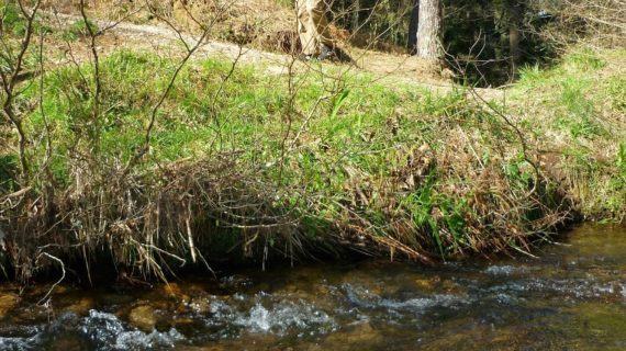 A Xunta publica no DOG o decreto que facilita a execución de obras menores de conservación e mantemento nas proximidades dos ríos sen autorización previa de augas de Galicia