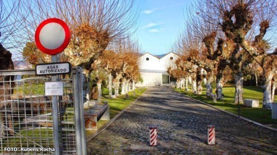 La COVID 19 frena la tendencia positiva de visitas a los museos estatales en 2020, cuyas cifras globales descienden un 63,55 %