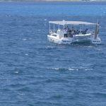 O barco solar de WWF arrinca a súa travesía en Alacante para loitar contra os plásticos no mar xunto a KISS FM